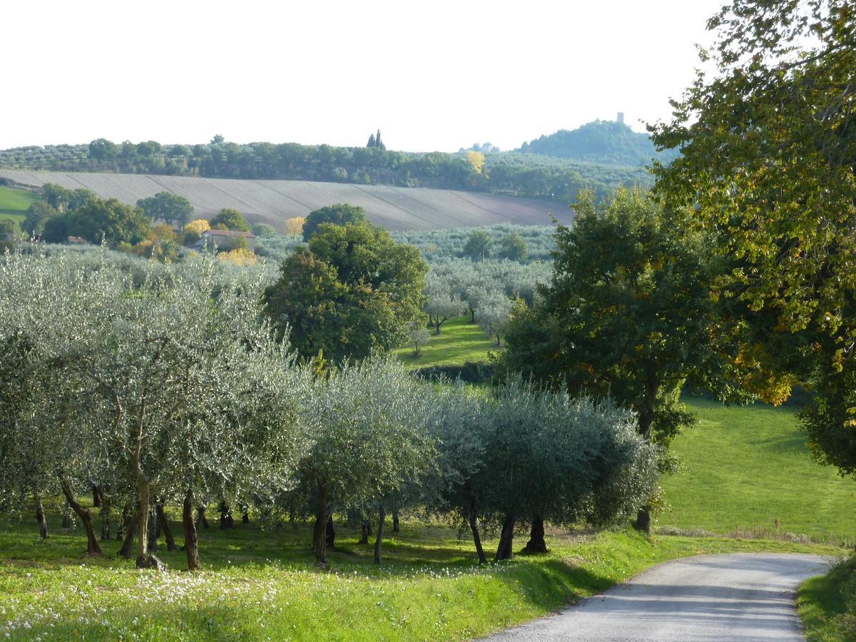 Genius Loci Country Inn Bevagna Bagian luar foto